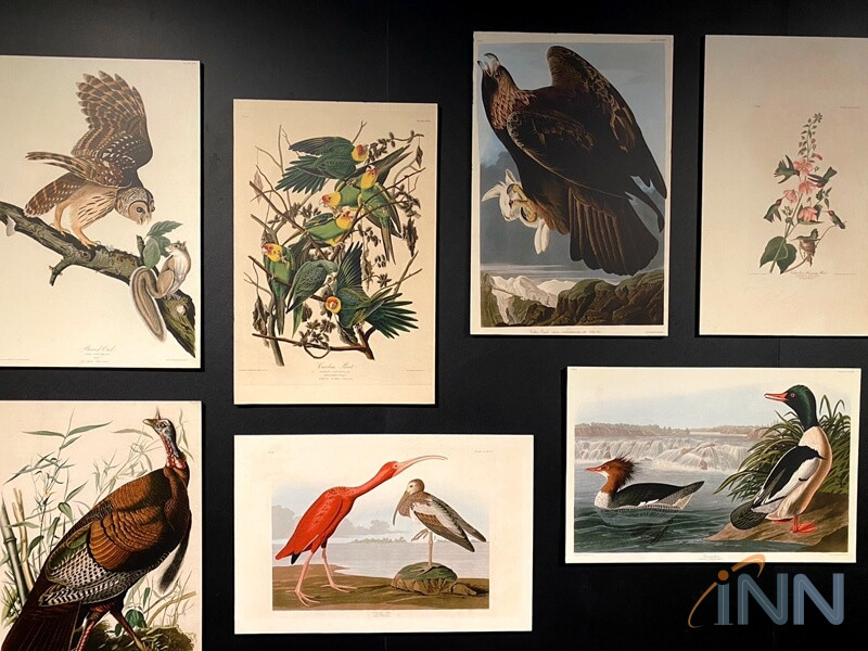 蘭博特展～「繪自然」博物學家是畫家
